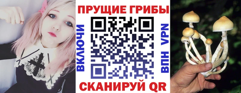 Галлюциногенные грибы Psilocybine cubensis  гидра ссылки  Семёнов 